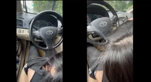 Bồ mưa thích bú bú trên xe ô tô